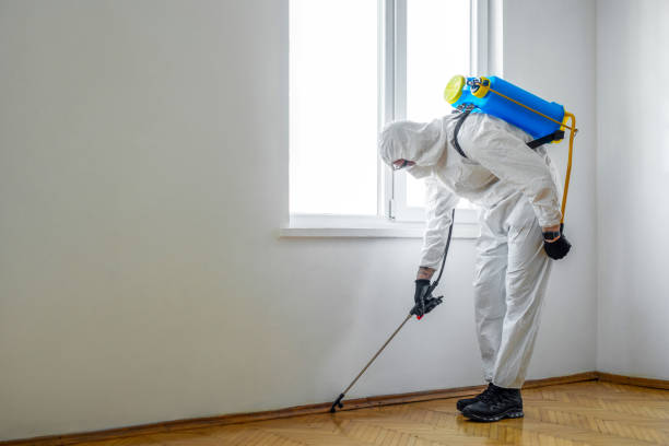 Best Rat Extermination Near Me  in Eupora, MS