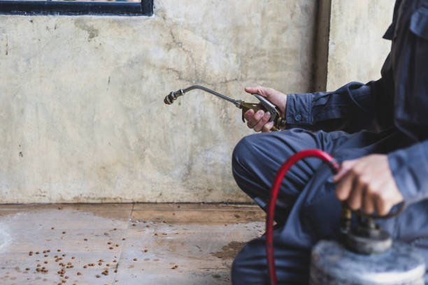 Best Termite Control Services  in Eupora, MS